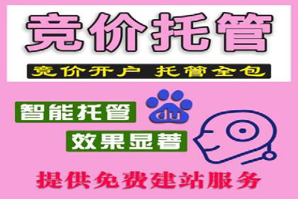 科技公司SEM外包战略的案例研究